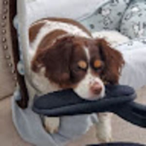 Meet your Posher, Jason